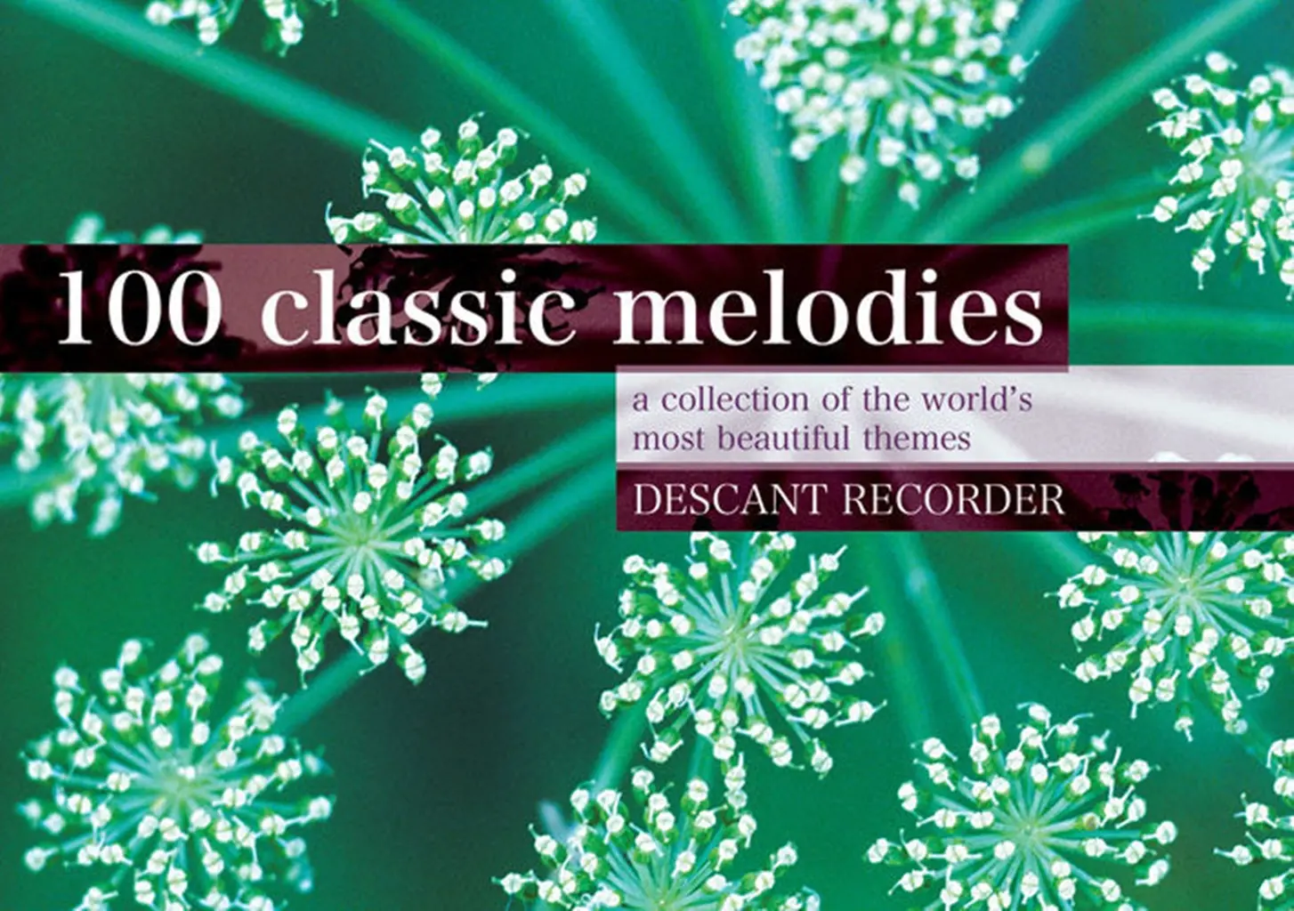 Cover: 9790570245932 | 100 Classic Melodies for Descant Recorder | Buch | Kevin Mayhew