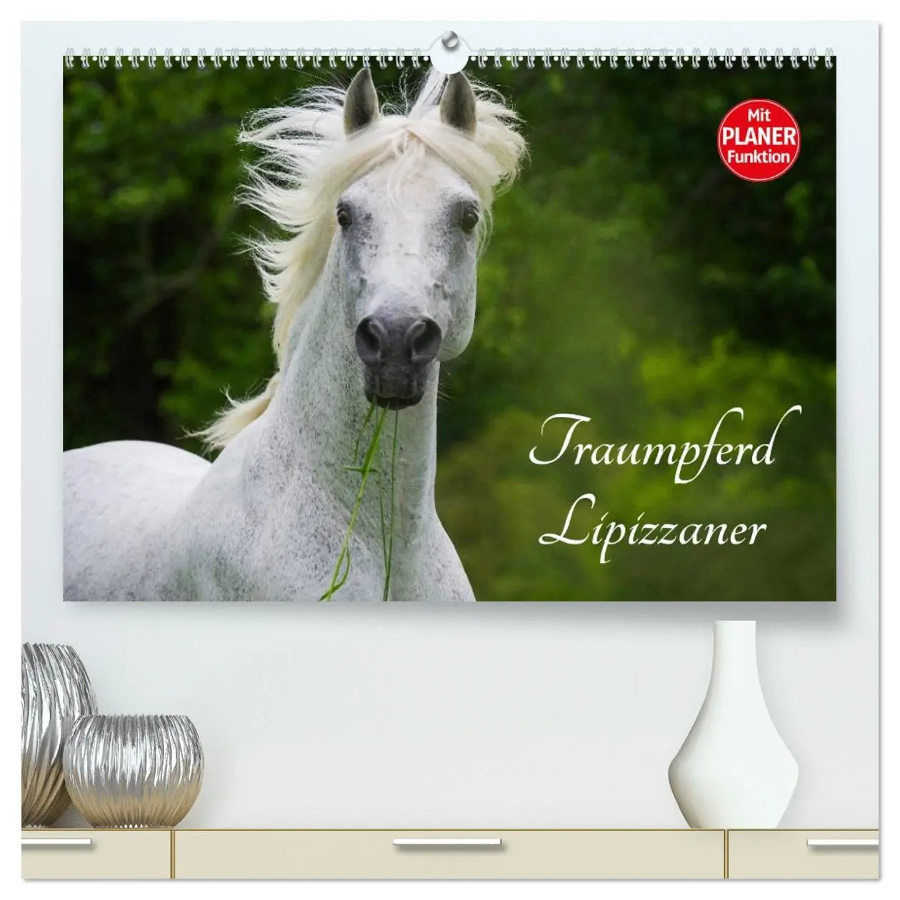 Cover: 9783516006032 | Traumpferd Lipizzaner (hochwertiger Premium Wandkalender 2026 DIN...