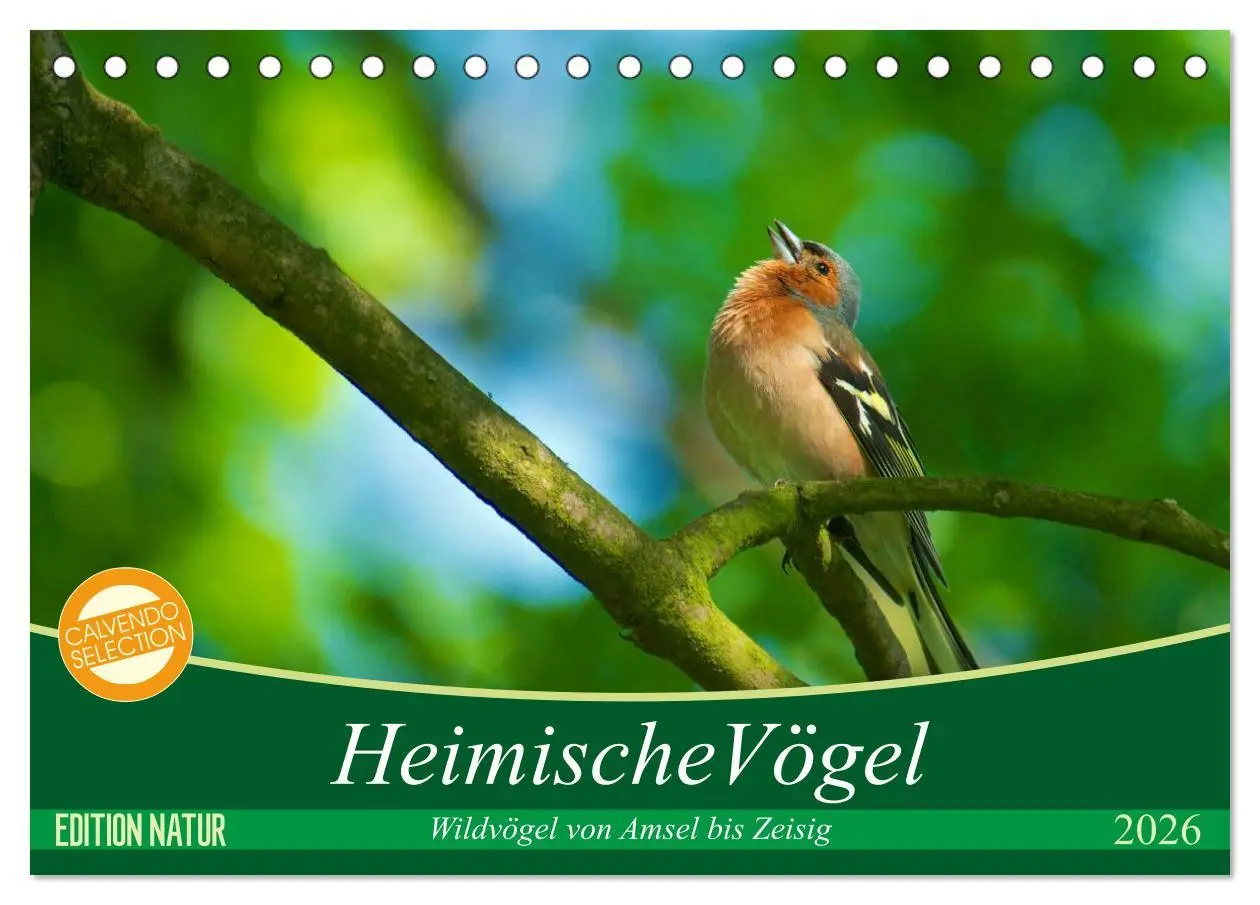 Cover: 9783516176032 | Heimische Vögel (Tischkalender 2026 DIN A5 quer), CALVENDO...