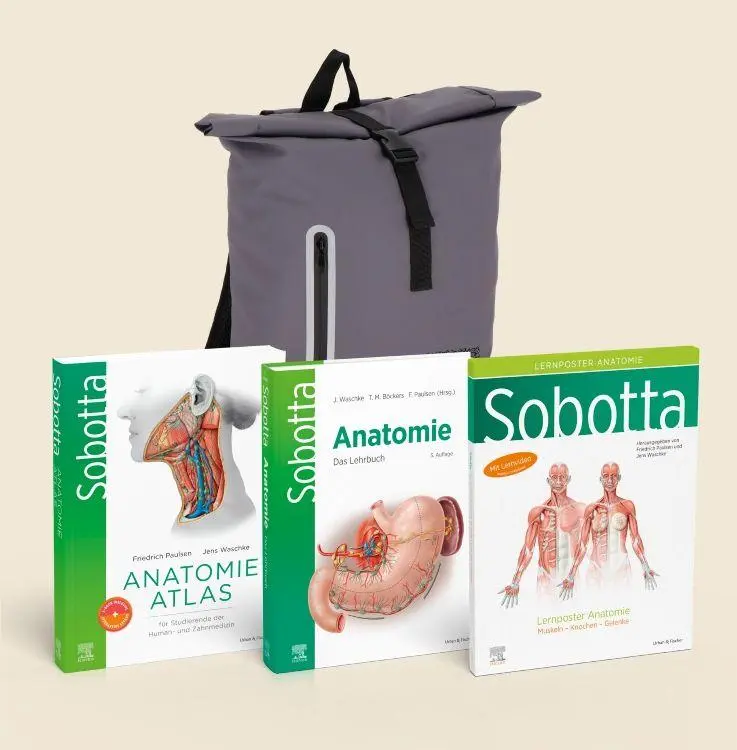 Cover: 9783437416132 | Sobotta Bag Atlas, Lehrbuch und Poster - Limited Edition | Buch | 2026
