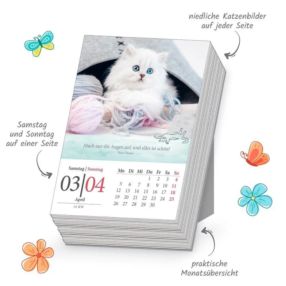 Bild: 9783988026132 | TRÖTSCH - Abreißkalender Katzen 2027 | Trötsch Verlag GmbH &amp; Co. KG
