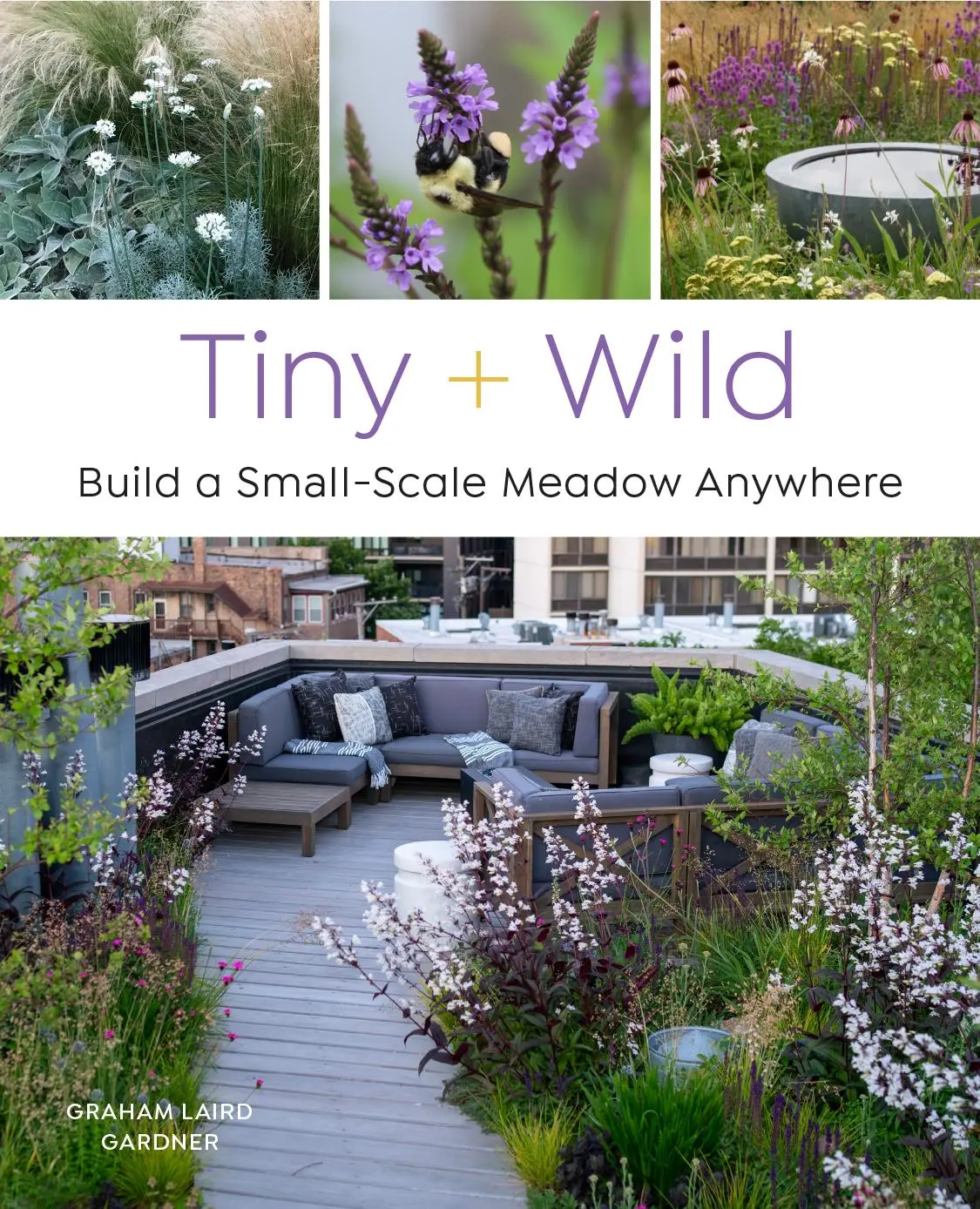 Cover: 9780760376232 | Tiny and Wild | Build a Small-Scale Meadow Anywhere | Gardner | Buch