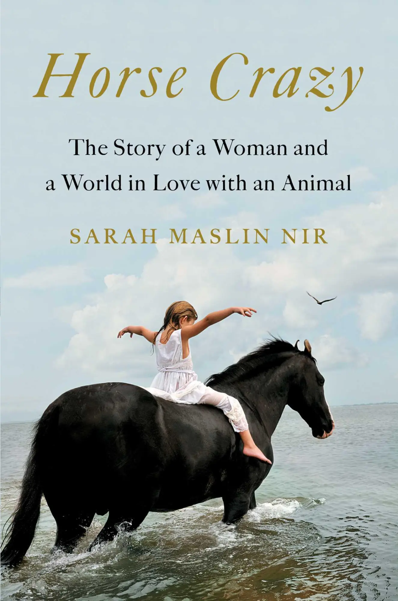 Cover: 9781501196232 | Horse Crazy | The Story of a Woman and a World in Love with an Animal