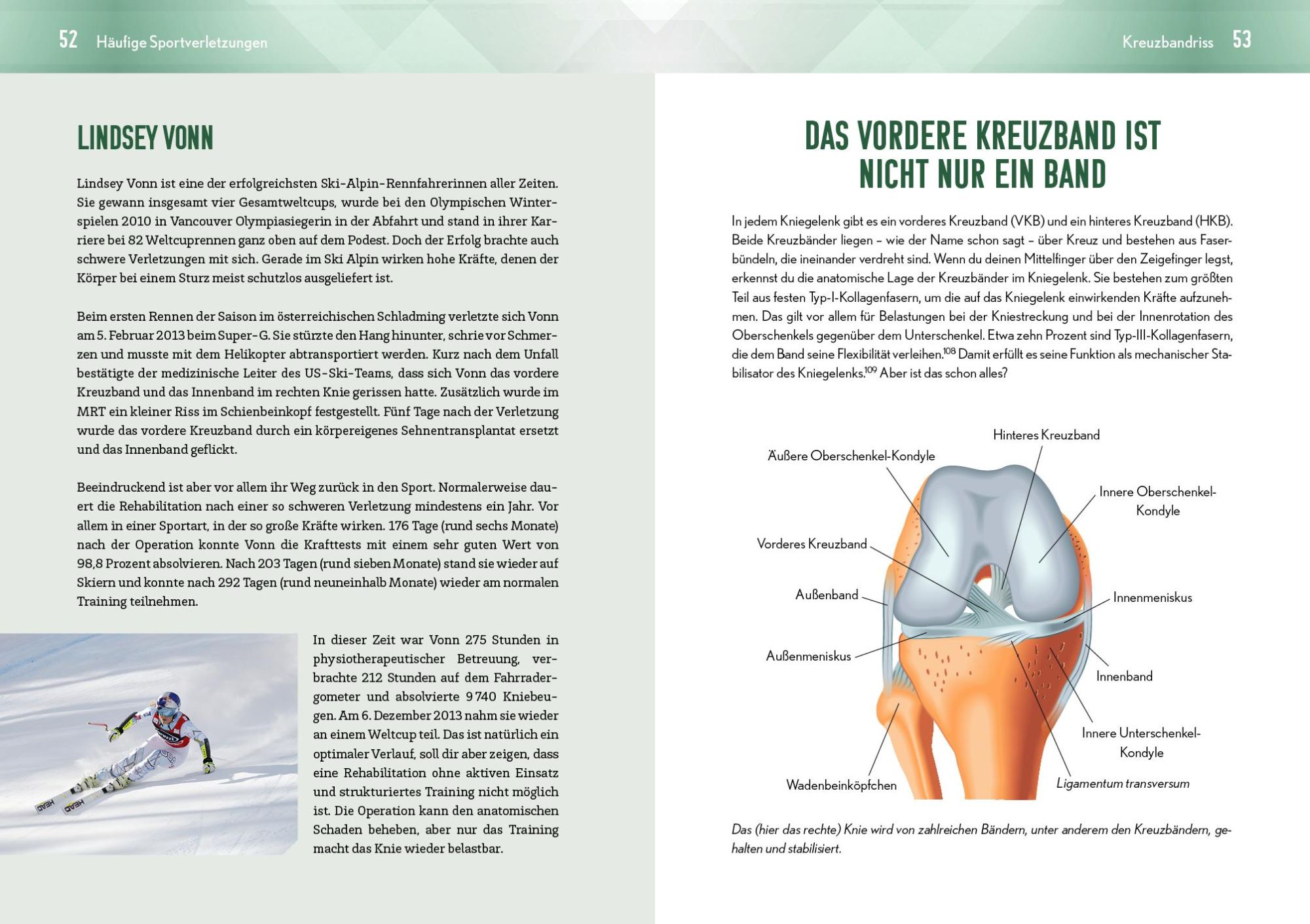 Bild: 9783742326232 | Back in the game - dein Programm für den optimalen Wiedereinstieg