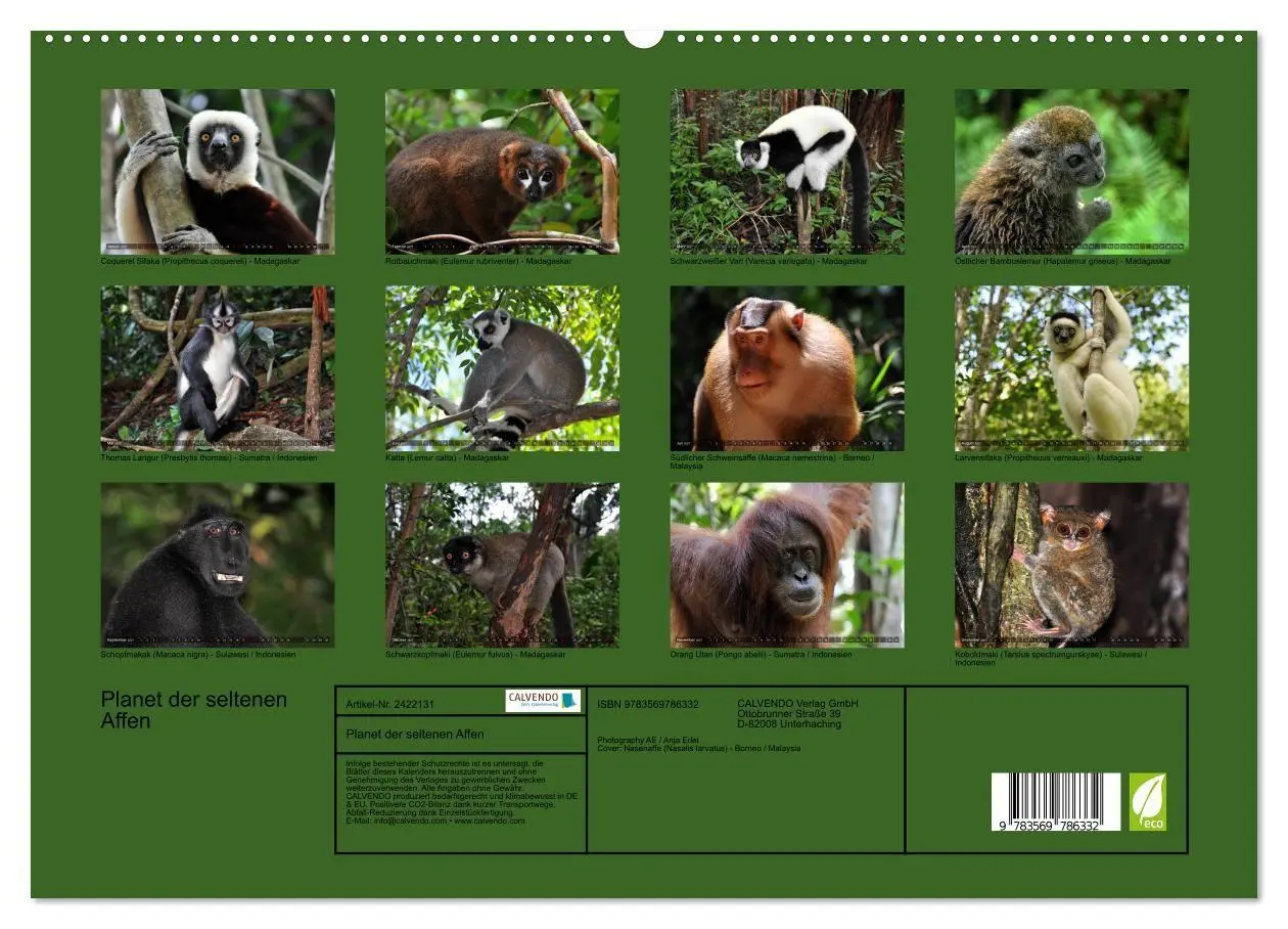 Bild: 9783569786332 | Planet der seltenen Affen (hochwertiger Premium Wandkalender 2027...