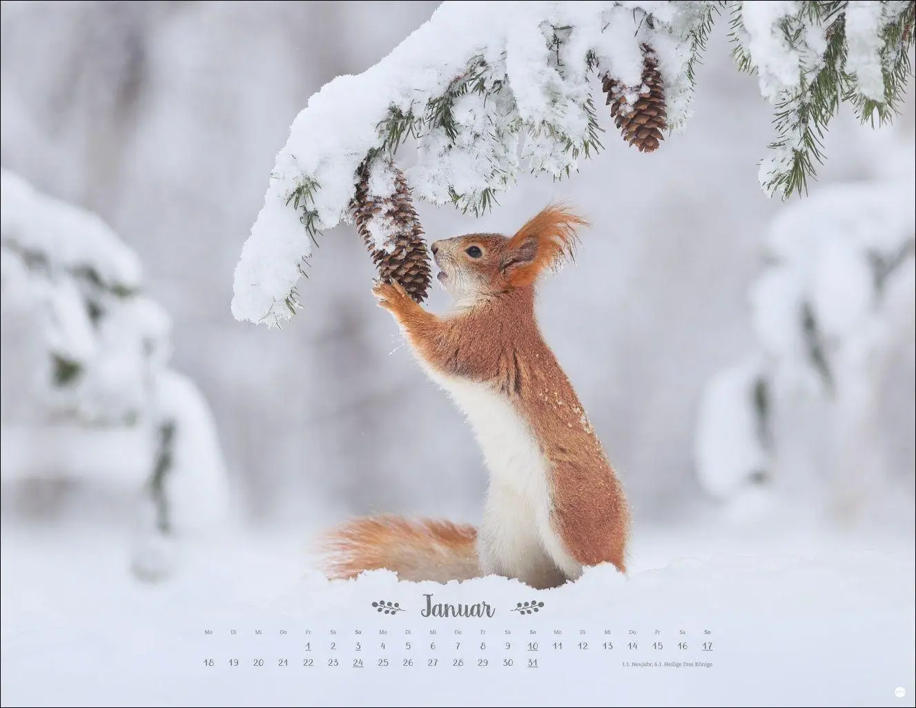 Bild: 9783756416332 | Vadim Trunov: Märchenhaftes Waldleben Posterkalender 2027 | Trunov