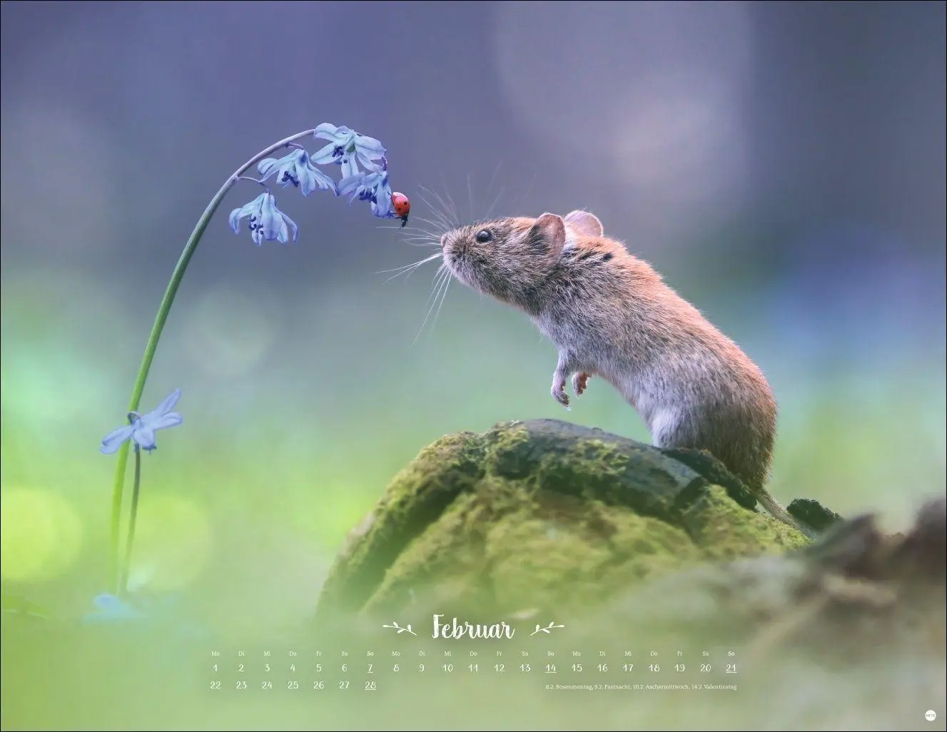 Bild: 9783756416332 | Vadim Trunov: Märchenhaftes Waldleben Posterkalender 2027 | Trunov