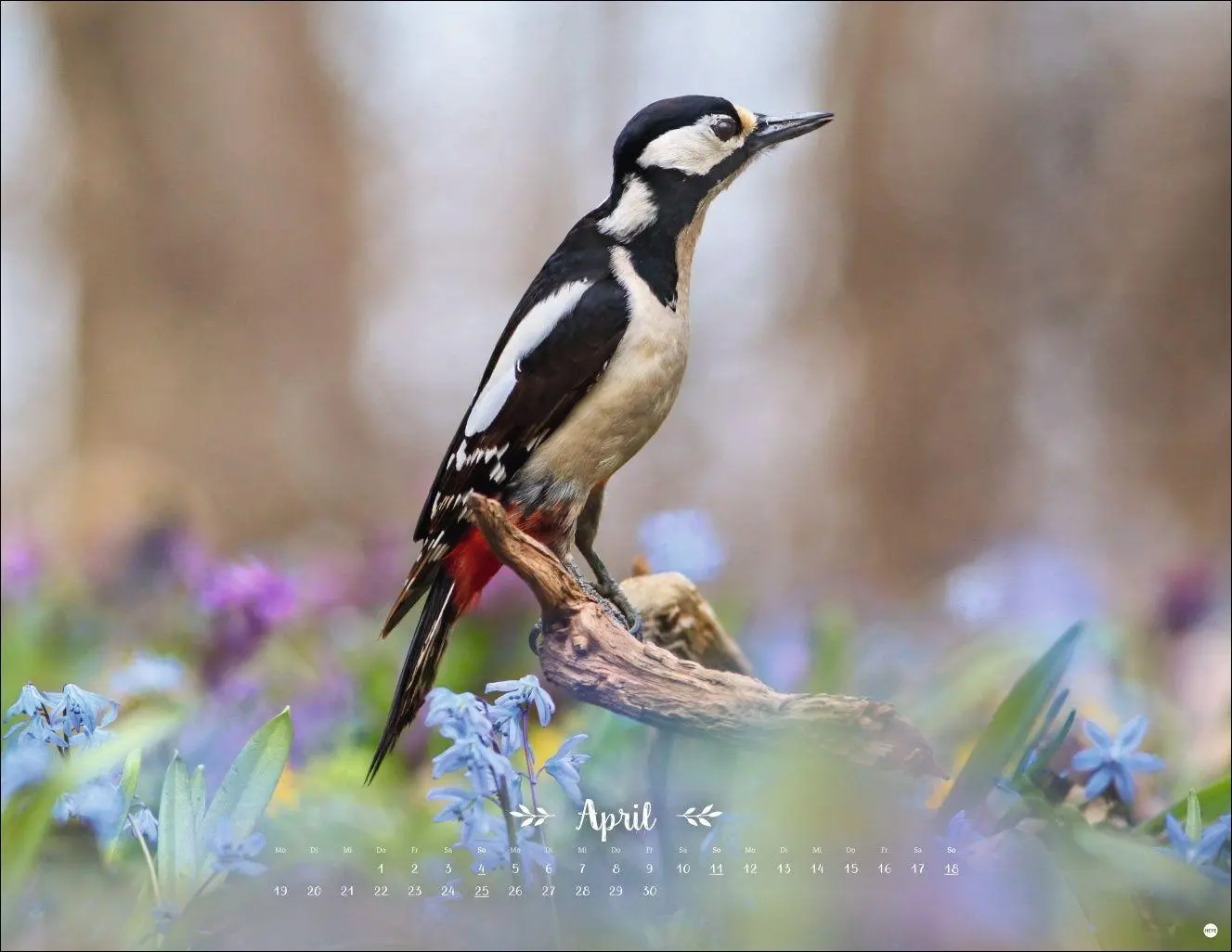 Bild: 9783756416332 | Vadim Trunov: Märchenhaftes Waldleben Posterkalender 2027 | Trunov