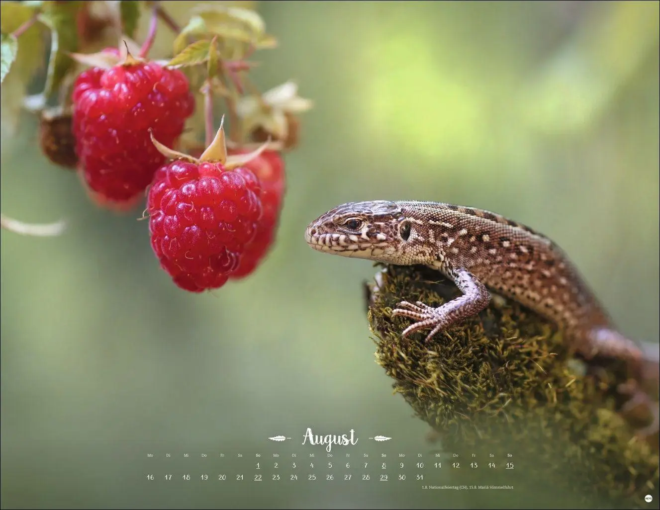 Bild: 9783756416332 | Vadim Trunov: Märchenhaftes Waldleben Posterkalender 2027 | Trunov