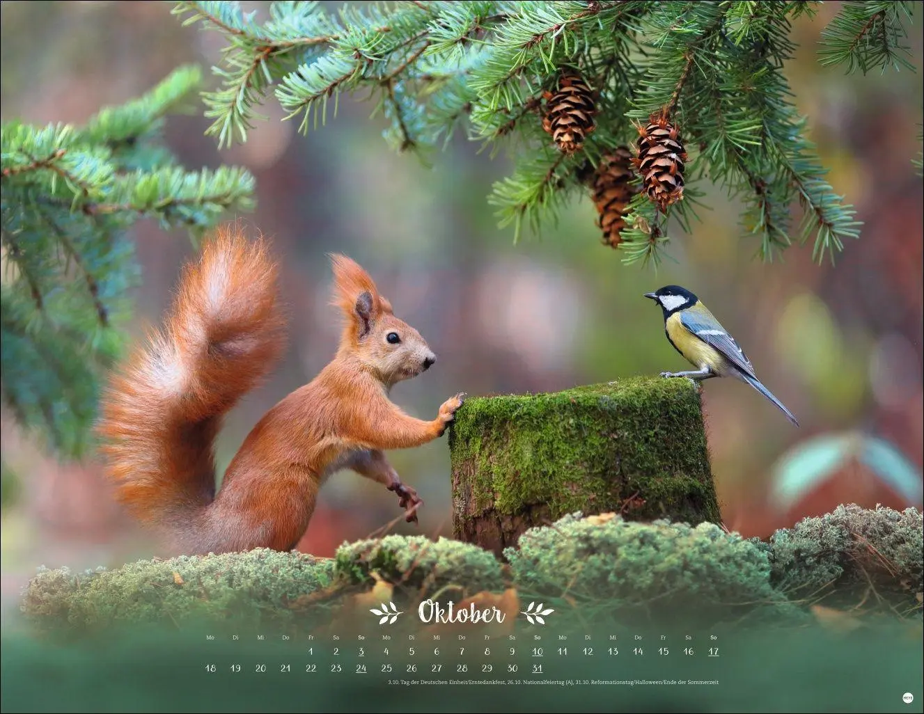 Bild: 9783756416332 | Vadim Trunov: Märchenhaftes Waldleben Posterkalender 2027 | Trunov