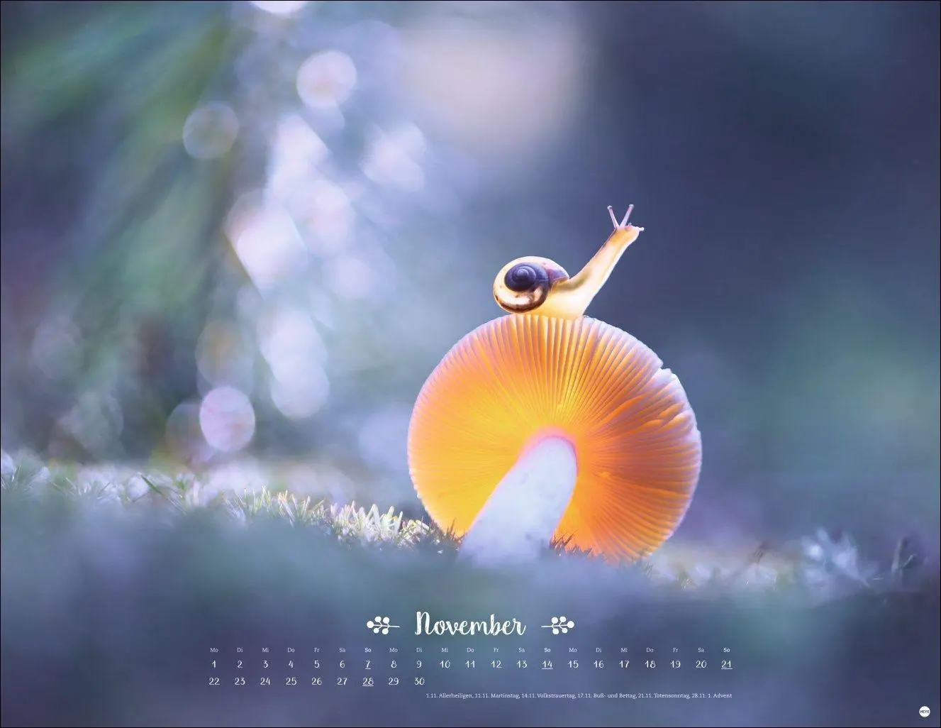 Bild: 9783756416332 | Vadim Trunov: Märchenhaftes Waldleben Posterkalender 2027 | Trunov