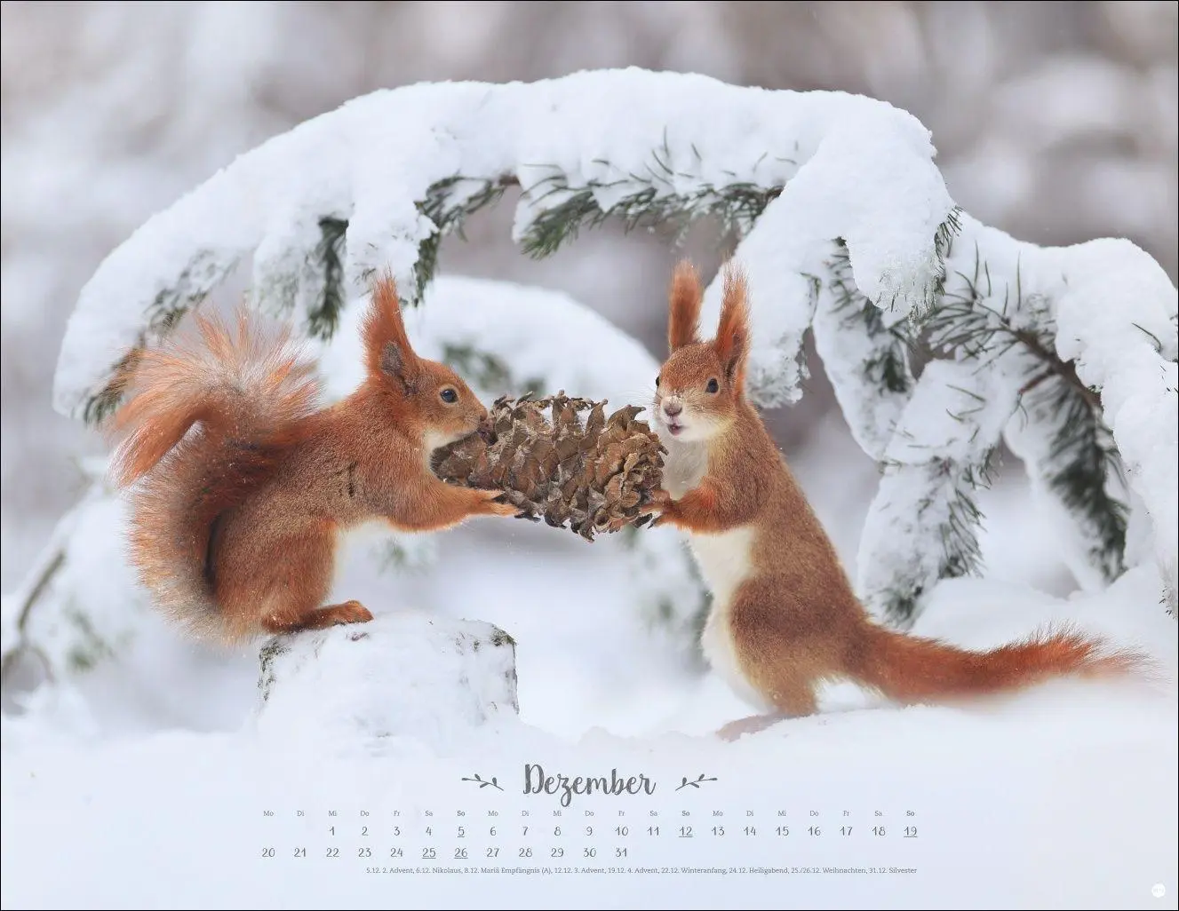 Bild: 9783756416332 | Vadim Trunov: Märchenhaftes Waldleben Posterkalender 2027 | Trunov