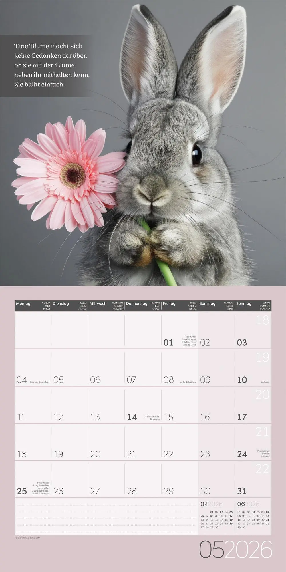 Bild: 9783838446332 | Alles wird gut! Kalender 2026 - 30x30 | Ackermann Kunstverlag GmbH
