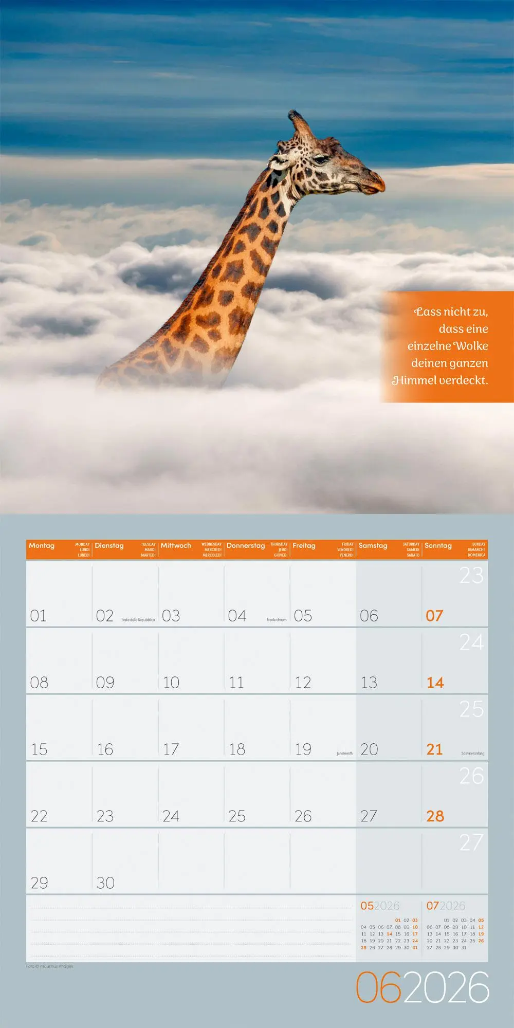 Bild: 9783838446332 | Alles wird gut! Kalender 2026 - 30x30 | Ackermann Kunstverlag GmbH