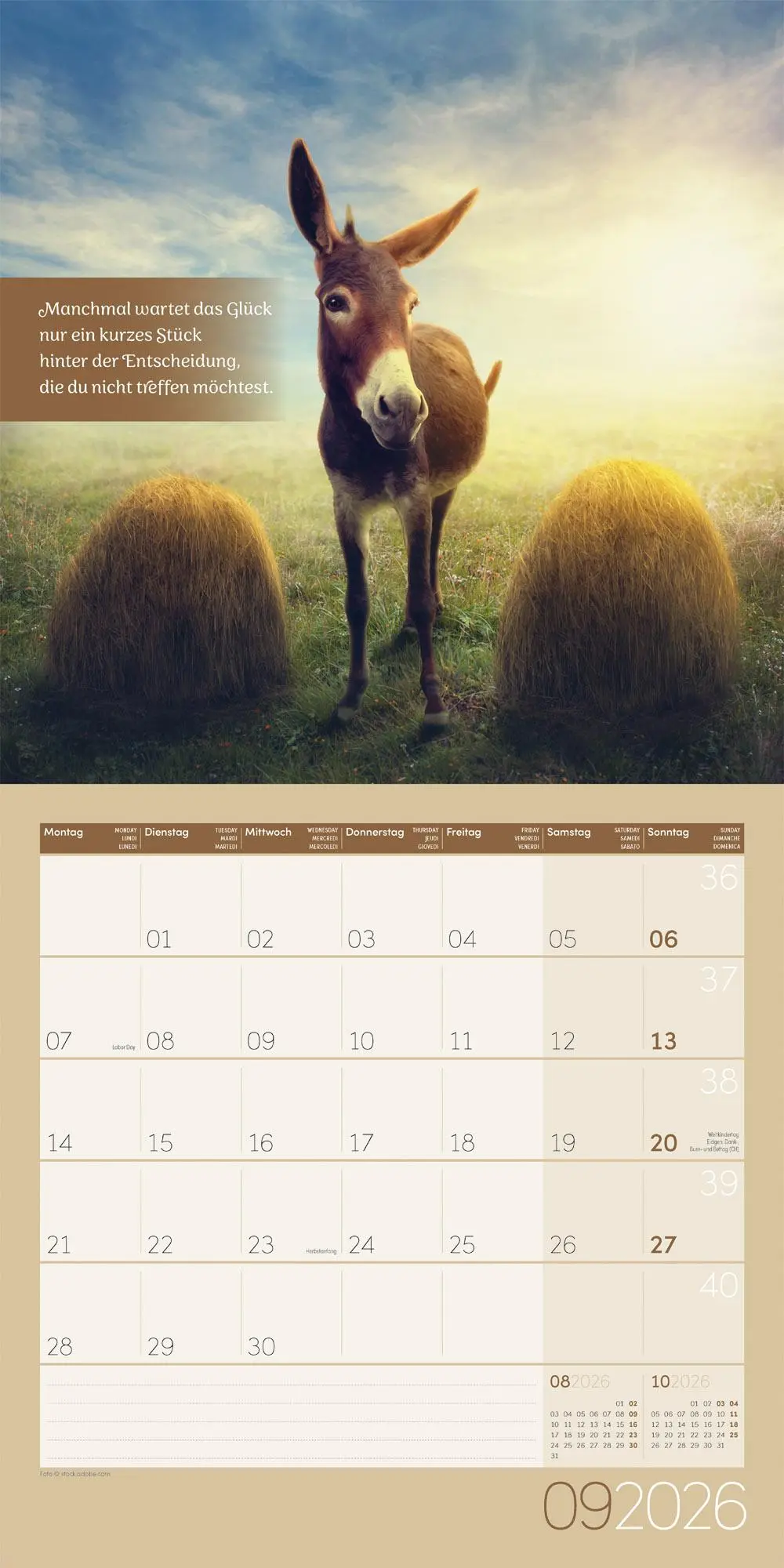 Bild: 9783838446332 | Alles wird gut! Kalender 2026 - 30x30 | Ackermann Kunstverlag GmbH