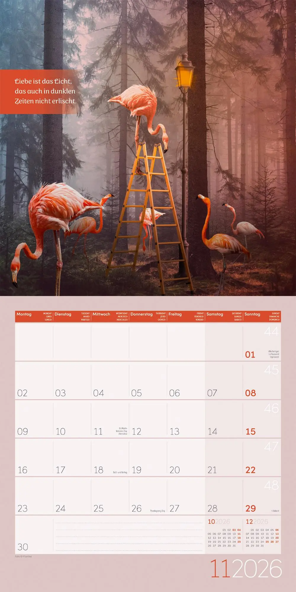 Bild: 9783838446332 | Alles wird gut! Kalender 2026 - 30x30 | Ackermann Kunstverlag GmbH