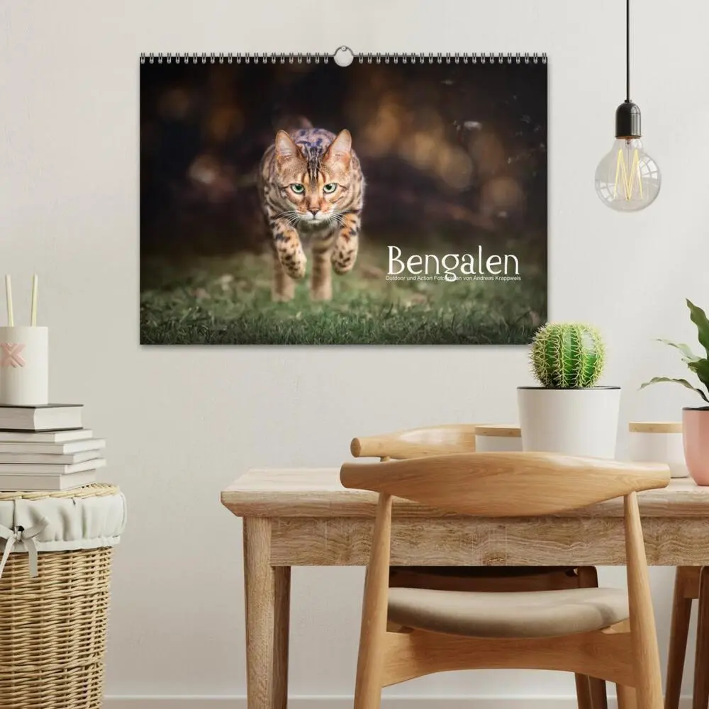 Bild: 9783435336432 | Bengalen Outdoor und Action (Wandkalender 2025 DIN A3 quer),...