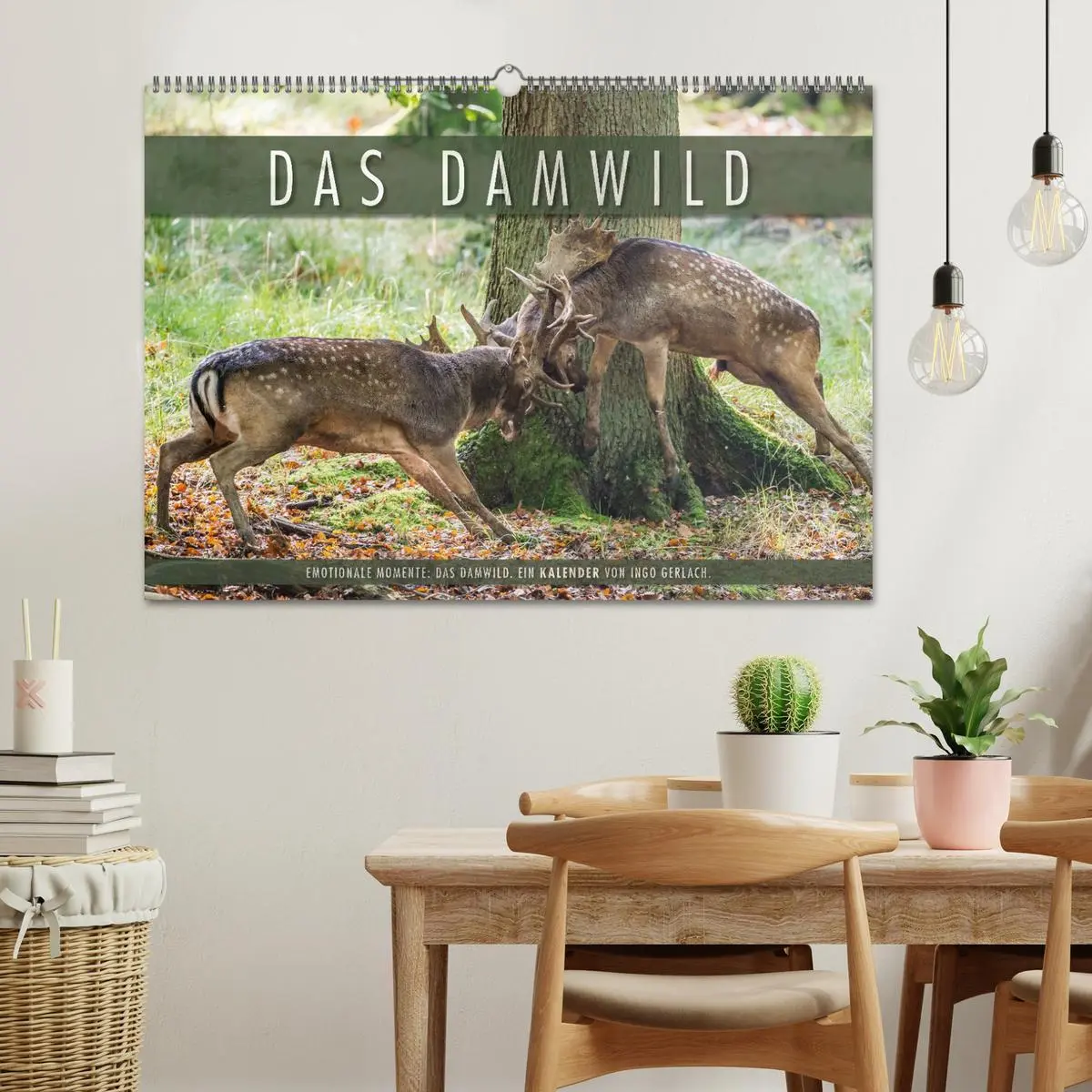 Bild: 9783516066432 | Emotionale Momente: Das Damwild. (Wandkalender 2026 DIN A2 quer),...