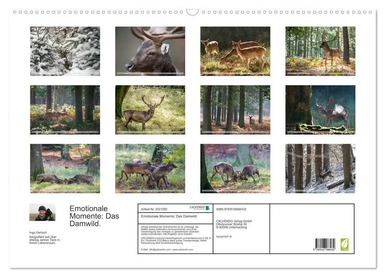 Bild: 9783516066432 | Emotionale Momente: Das Damwild. (Wandkalender 2026 DIN A2 quer),...