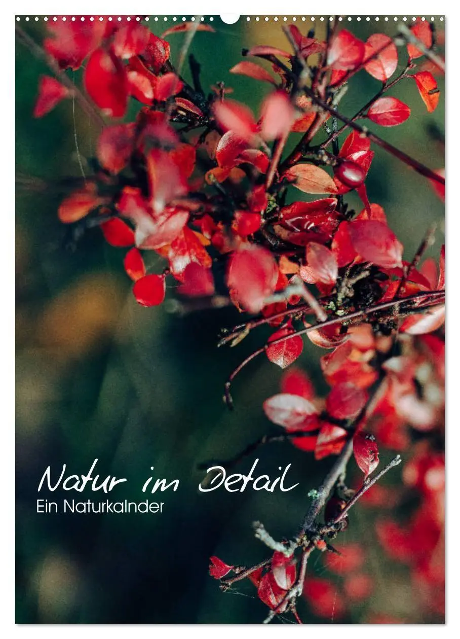 Cover: 9783569606432 | Kalender - Natur im Detail (Wandkalender 2027 DIN A2 hoch),...