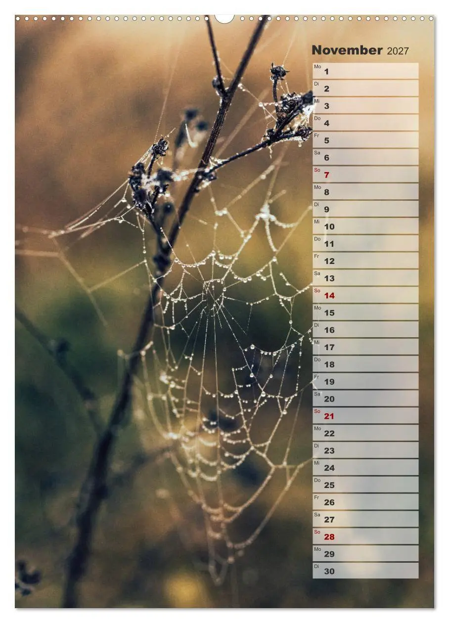Bild: 9783569606432 | Kalender - Natur im Detail (Wandkalender 2027 DIN A2 hoch),...