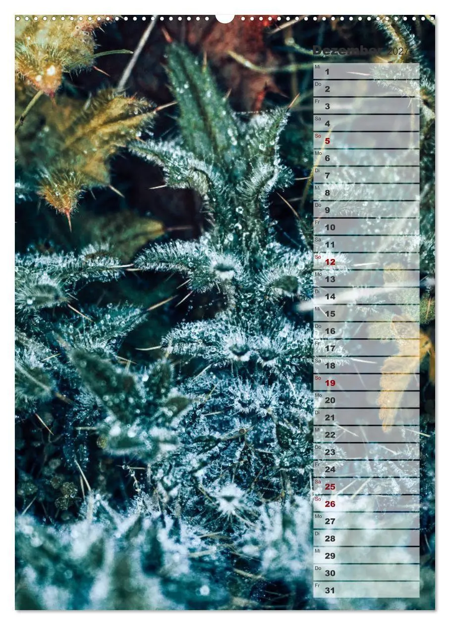 Bild: 9783569606432 | Kalender - Natur im Detail (Wandkalender 2027 DIN A2 hoch),...
