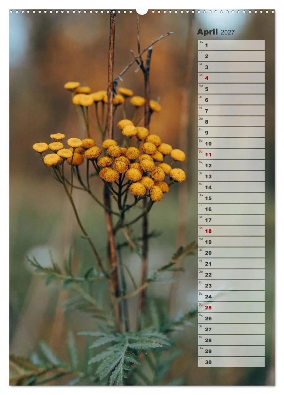 Bild: 9783569606432 | Kalender - Natur im Detail (Wandkalender 2027 DIN A2 hoch),...