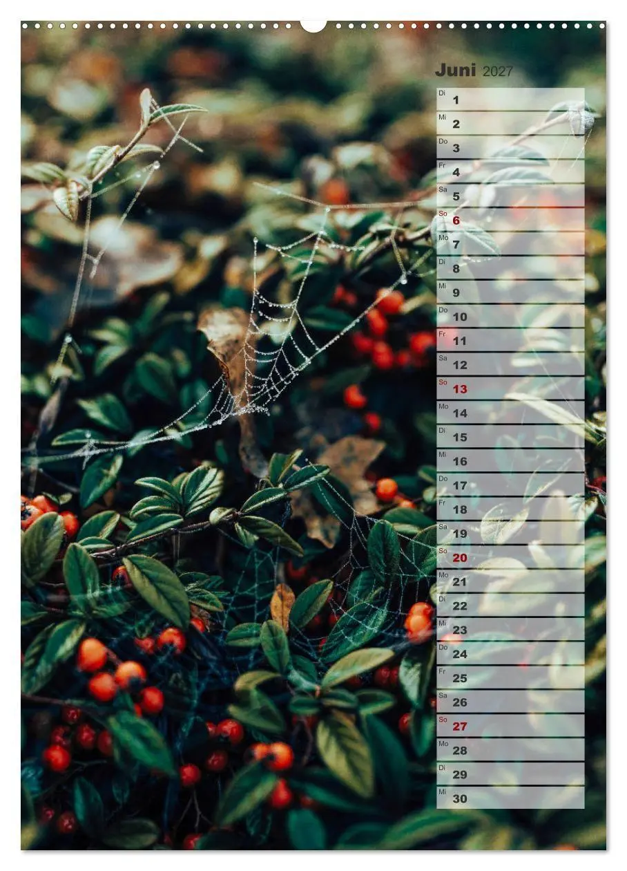 Bild: 9783569606432 | Kalender - Natur im Detail (Wandkalender 2027 DIN A2 hoch),...