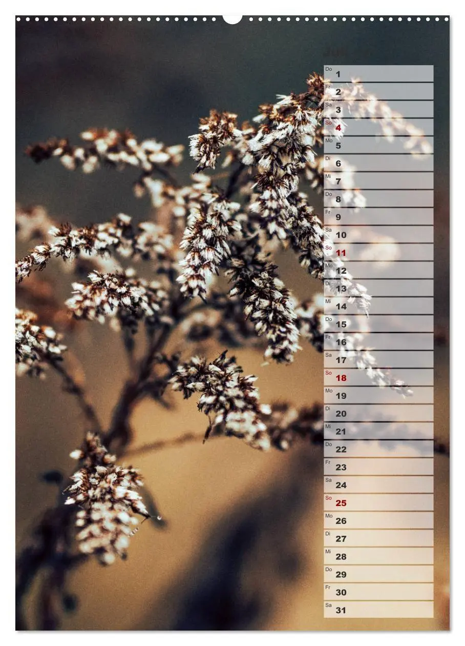 Bild: 9783569606432 | Kalender - Natur im Detail (Wandkalender 2027 DIN A2 hoch),...