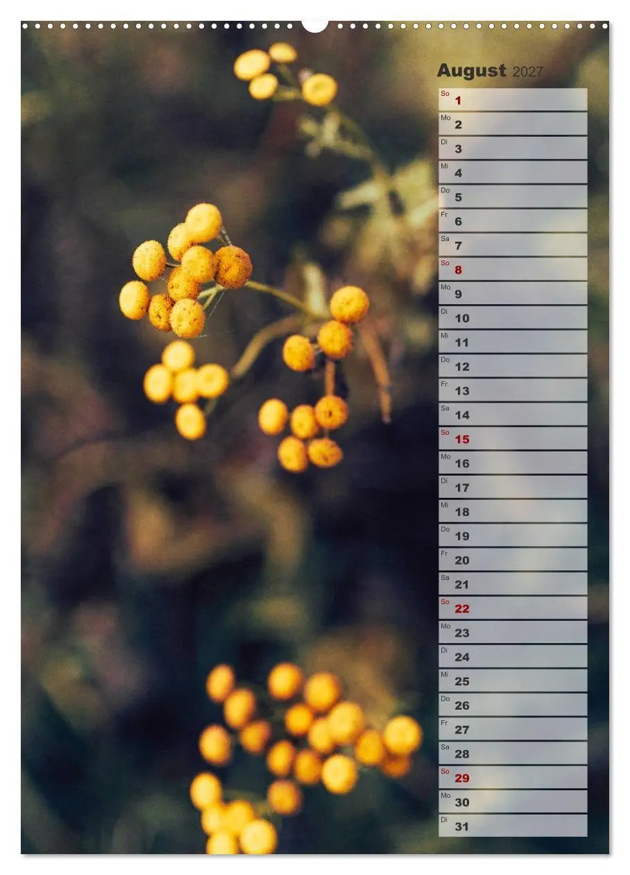 Bild: 9783569606432 | Kalender - Natur im Detail (Wandkalender 2027 DIN A2 hoch),...