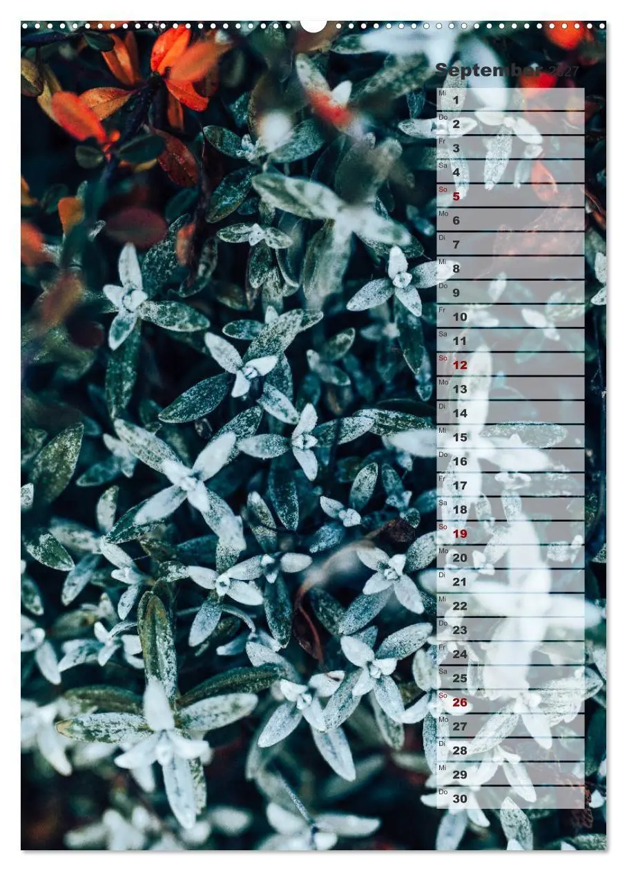Bild: 9783569606432 | Kalender - Natur im Detail (Wandkalender 2027 DIN A2 hoch),...