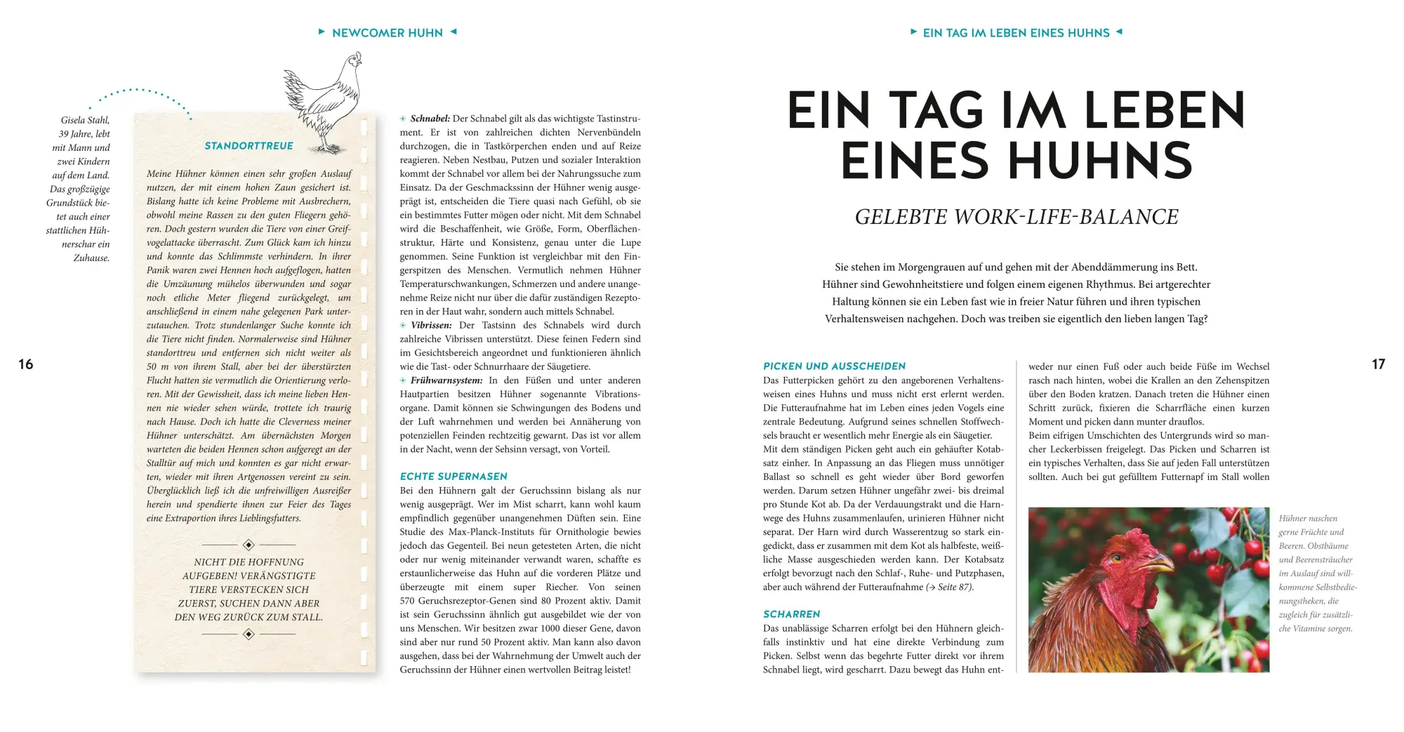 Bild: 9783833866432 | Hühner Basics | Hühnerhaltung für Anfänger | Esther Schmidt | Buch