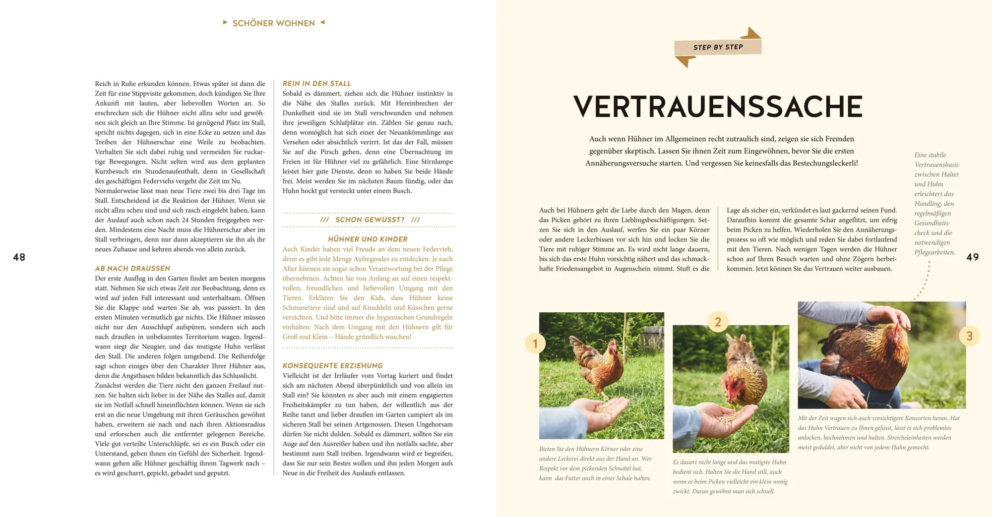 Bild: 9783833866432 | Hühner Basics | Hühnerhaltung für Anfänger | Esther Schmidt | Buch