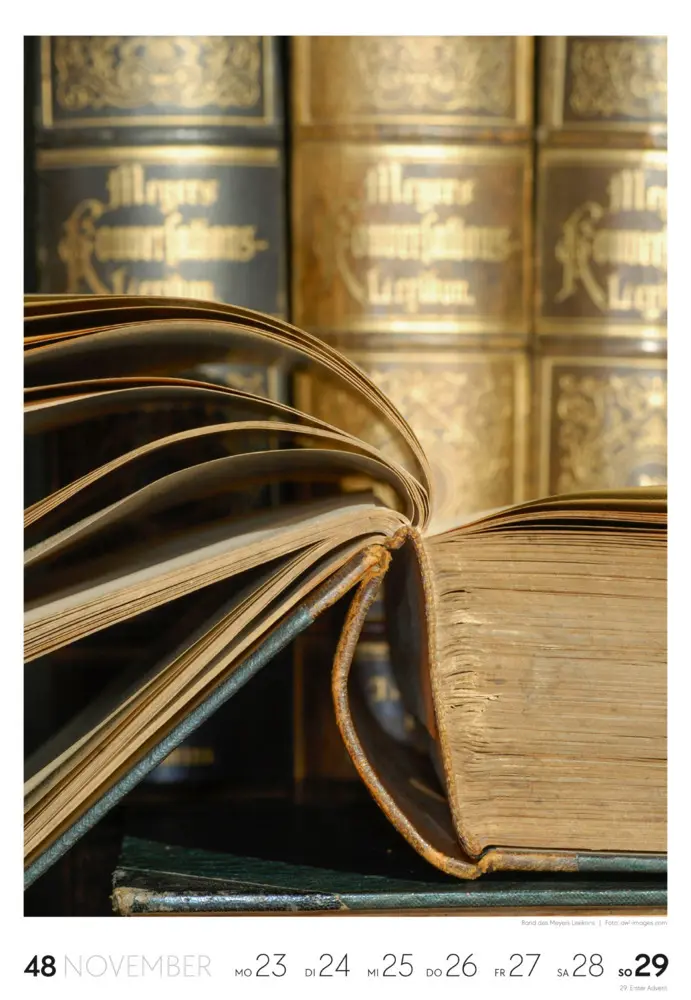 Bild: 9783838436432 | Lesen Wochenkalender 2026 | Ackermann Kunstverlag GmbH | Kalender