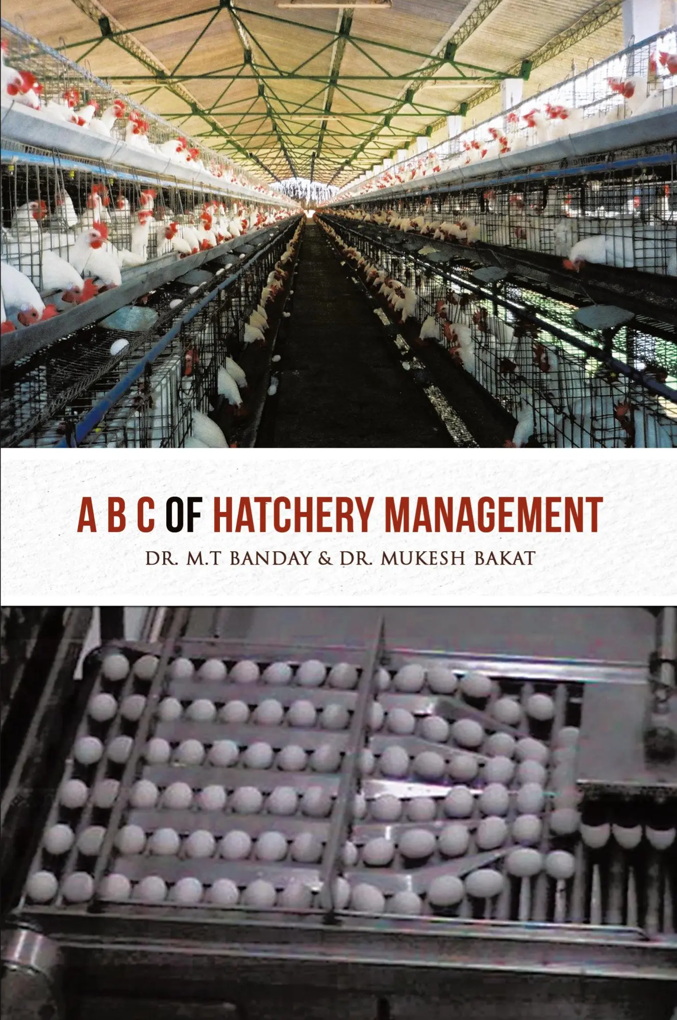 Cover: 9781482816532 | A B C of Hatchery Management | M. T. Banday (u. a.) | Taschenbuch