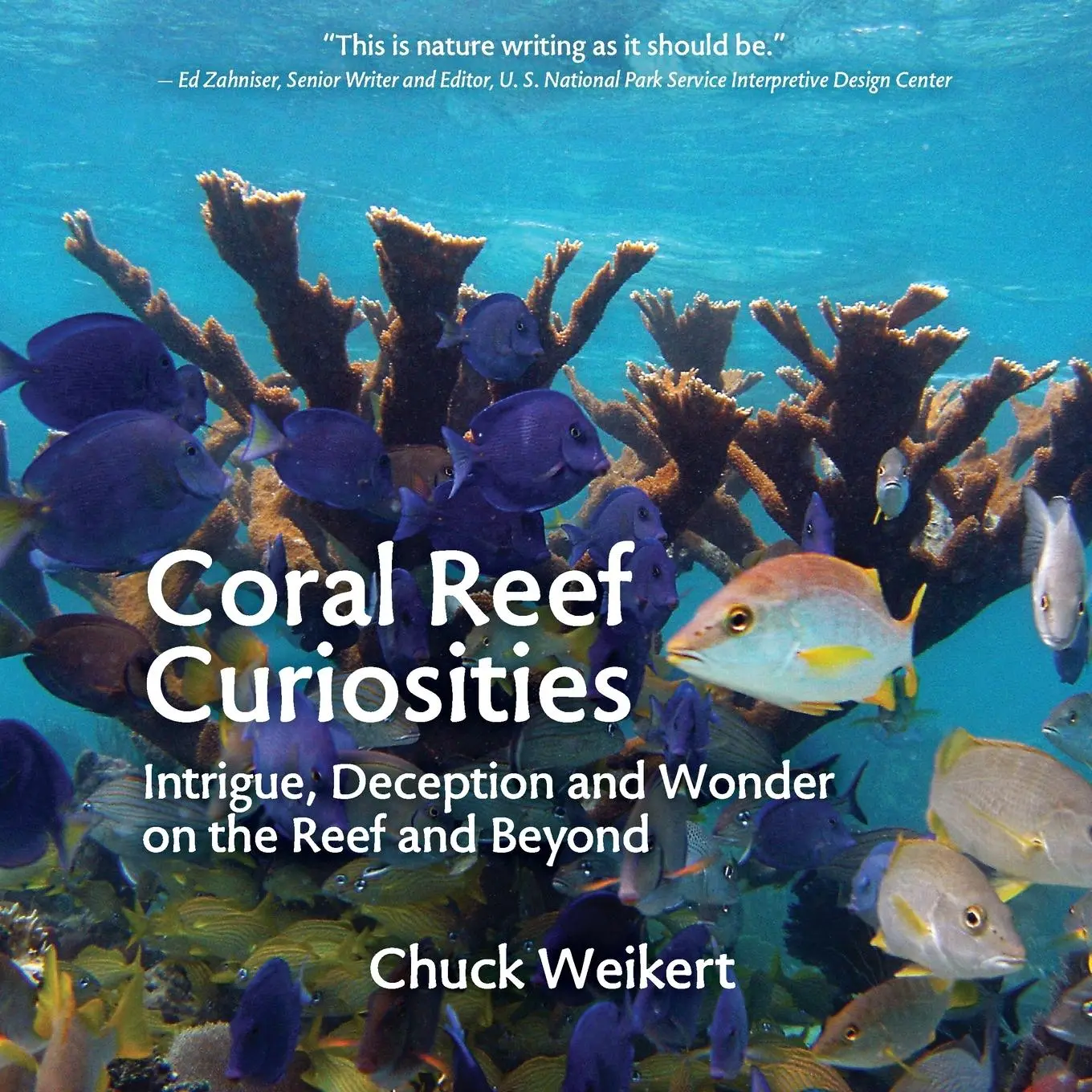 Cover: 9781732526532 | Coral Reef Curiosities | Chuck Weikert | Taschenbuch | Englisch | 2020