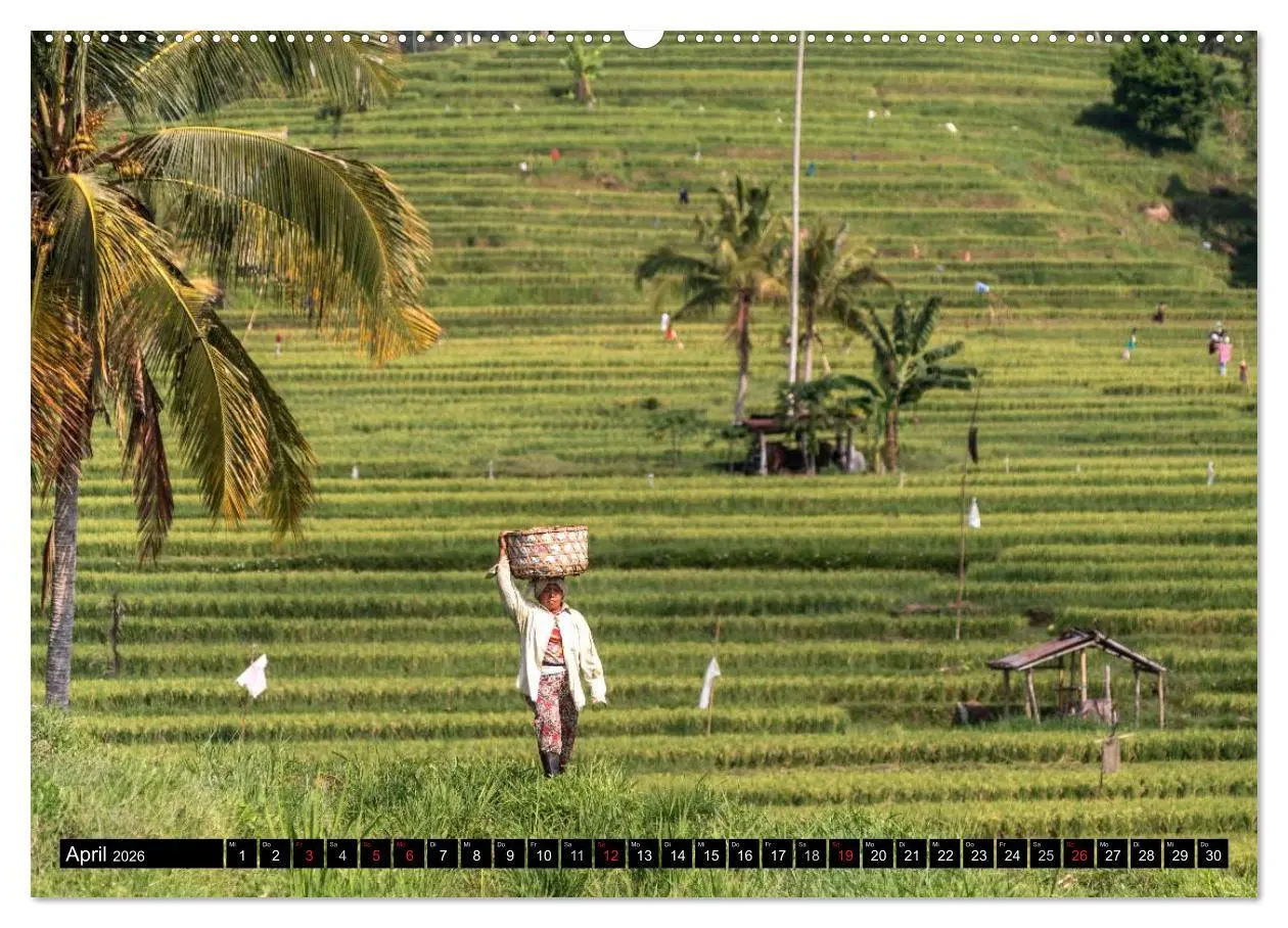 Bild: 9783457966532 | Bali - Indonesien (hochwertiger Premium Wandkalender 2026 DIN A2...