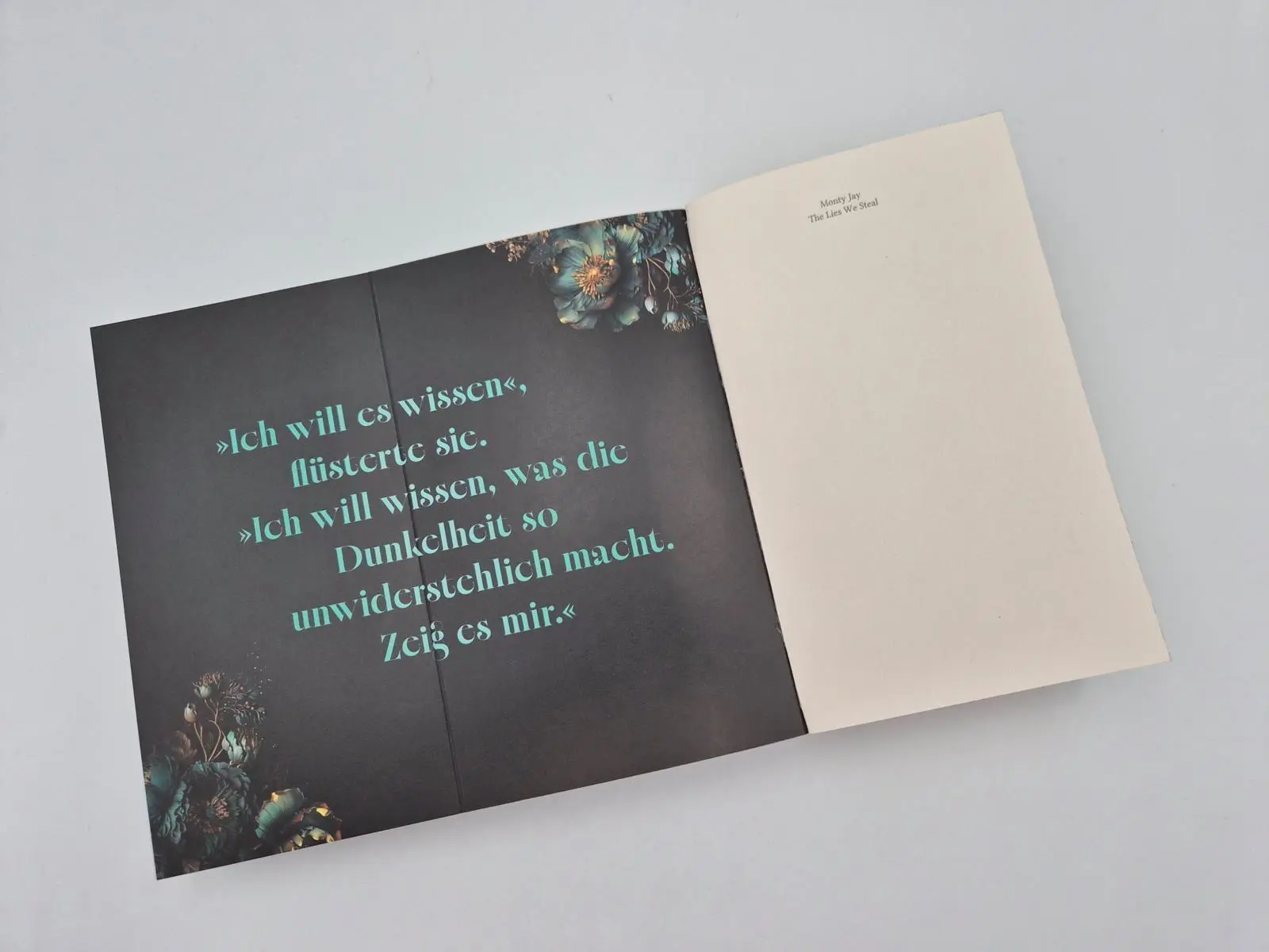 Bild: 9783492066532 | The Lies we steal | Monty Jay | Taschenbuch | 448 S. | Deutsch | 2026