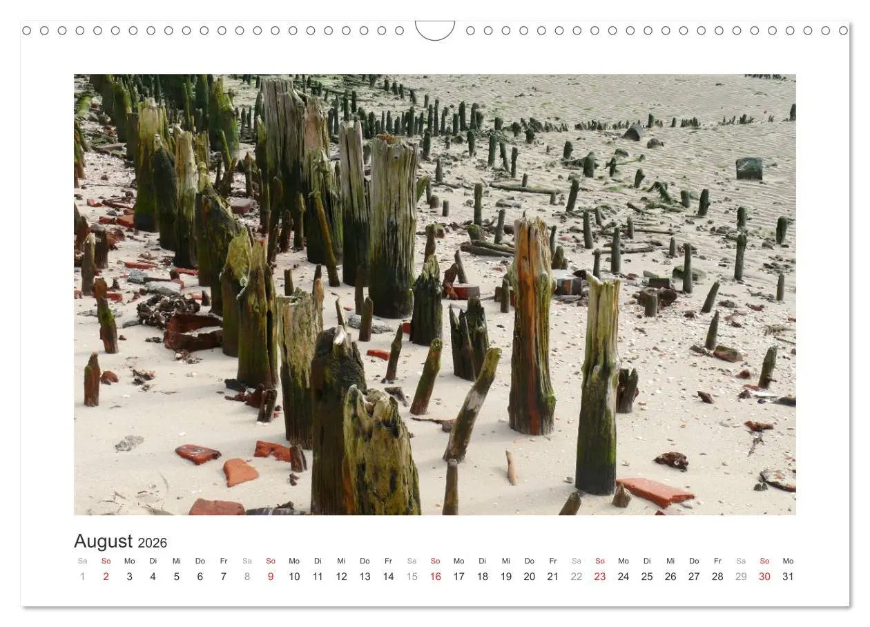 Bild: 9783457956632 | Wangerooge. Der Charme des Ostanlegers (Wandkalender 2026 DIN A3...