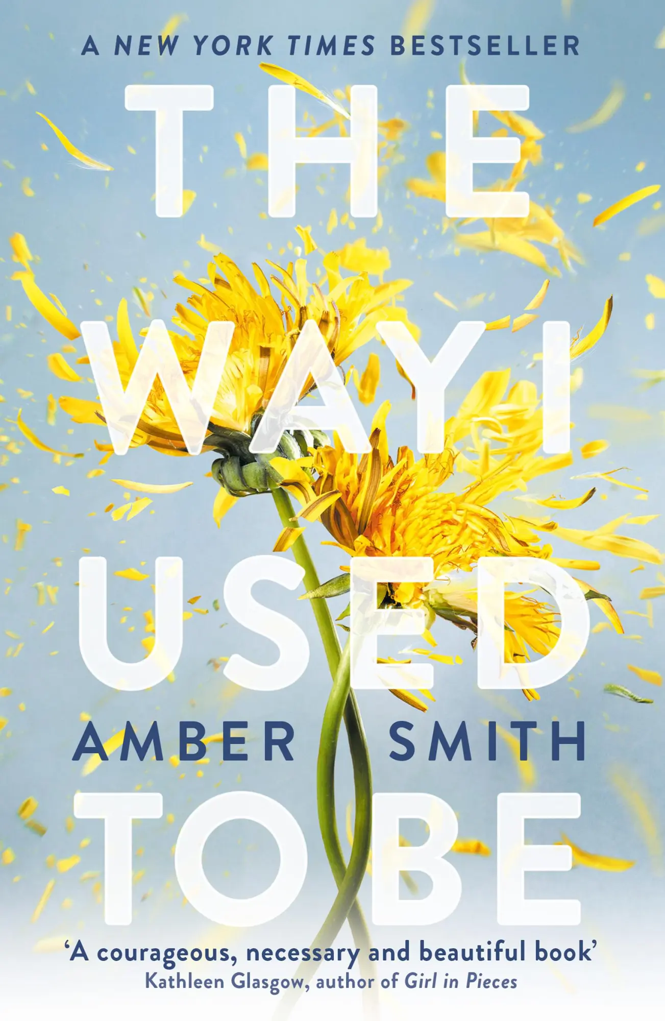 Cover: 9780861546732 | The Way I Used to Be | Amber Smith | Taschenbuch | 384 S. | Englisch