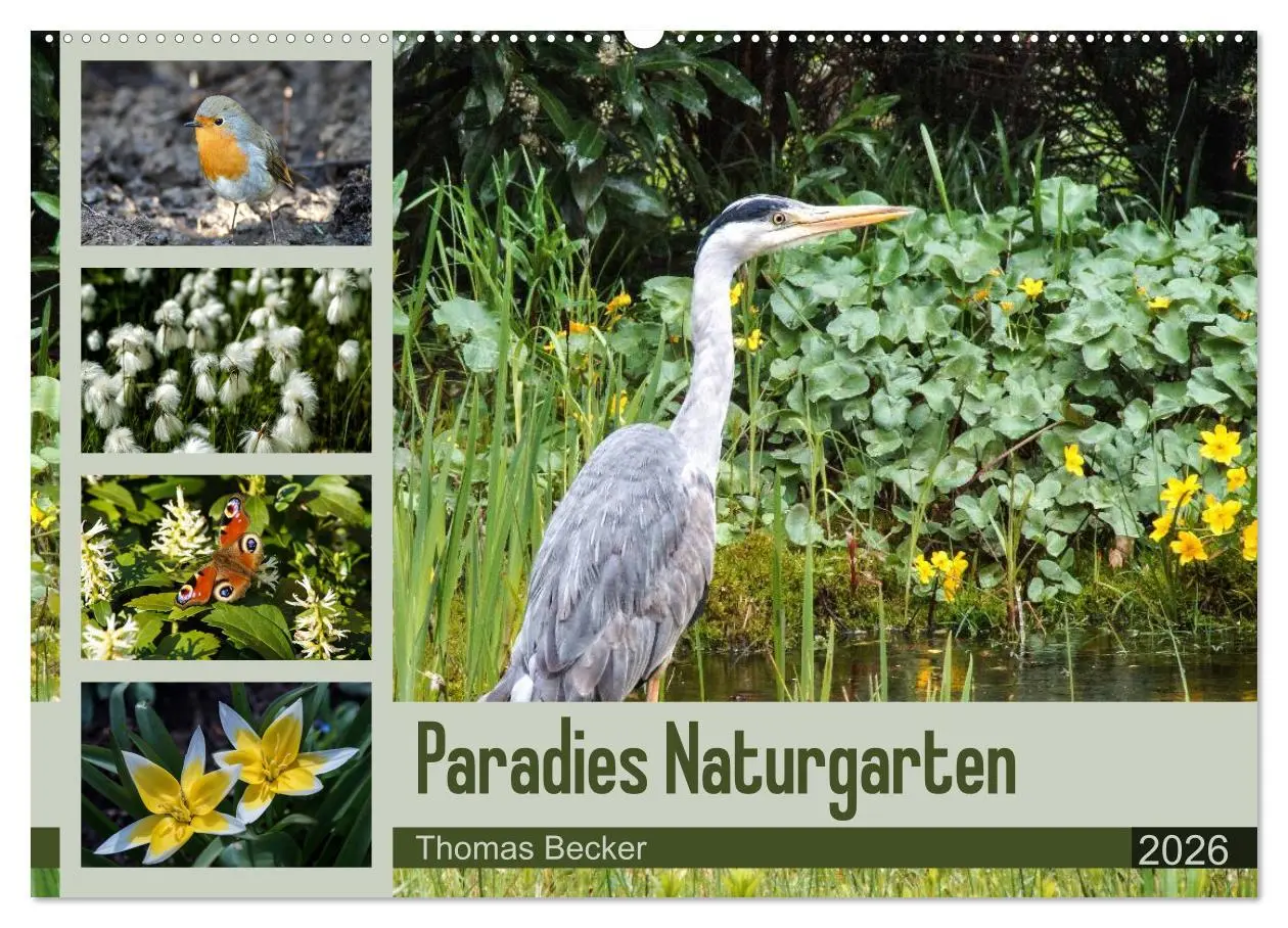 Cover: 9783457946732 | Paradies Naturgarten (Wandkalender 2026 DIN A2 quer), CALVENDO...