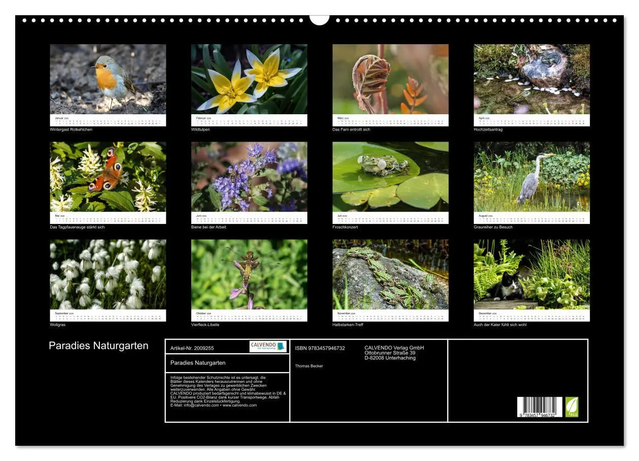 Bild: 9783457946732 | Paradies Naturgarten (Wandkalender 2026 DIN A2 quer), CALVENDO...