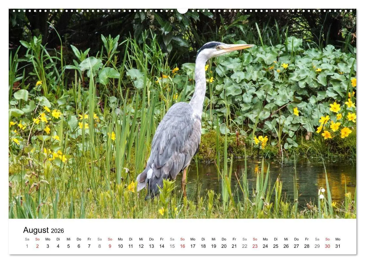 Bild: 9783457946732 | Paradies Naturgarten (Wandkalender 2026 DIN A2 quer), CALVENDO...