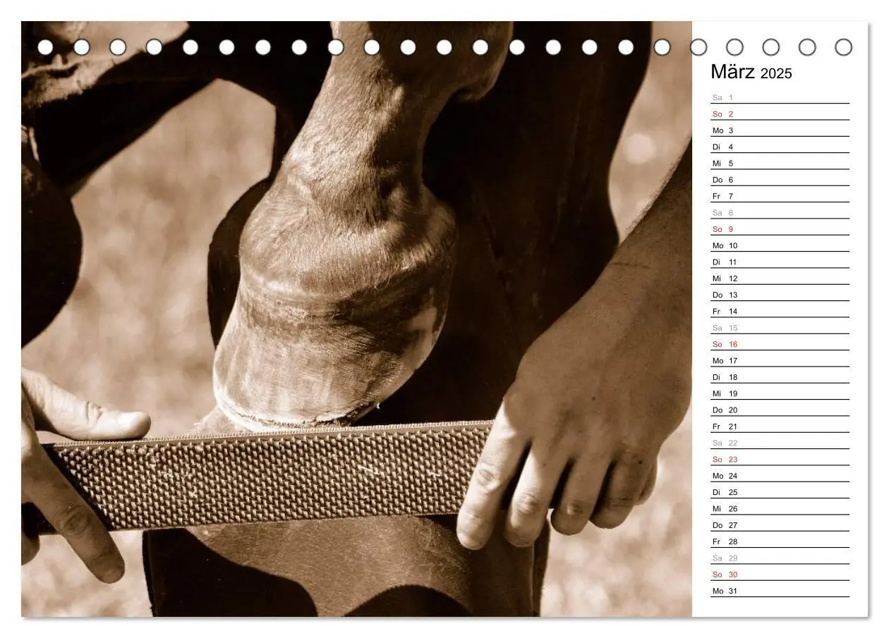 Bild: 9783435466832 | Hufschmied Traditionshandwerk (Tischkalender 2025 DIN A5 quer),...