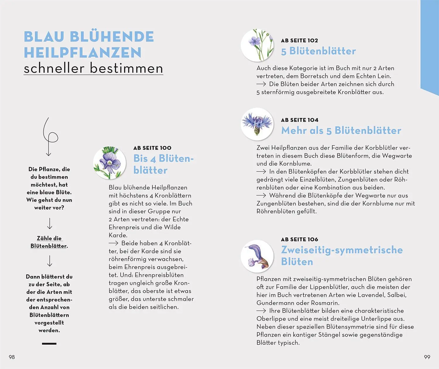 Bild: 9783440176832 | Basic Heilpflanzen | Eva-Maria Dreyer | Taschenbuch | 128 S. | Deutsch