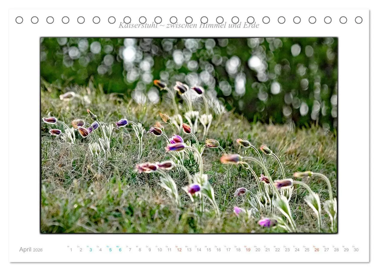 Bild: 9783457796832 | Kaiserstuhl zwischen Himmel und Erde (Tischkalender 2026 DIN A5...