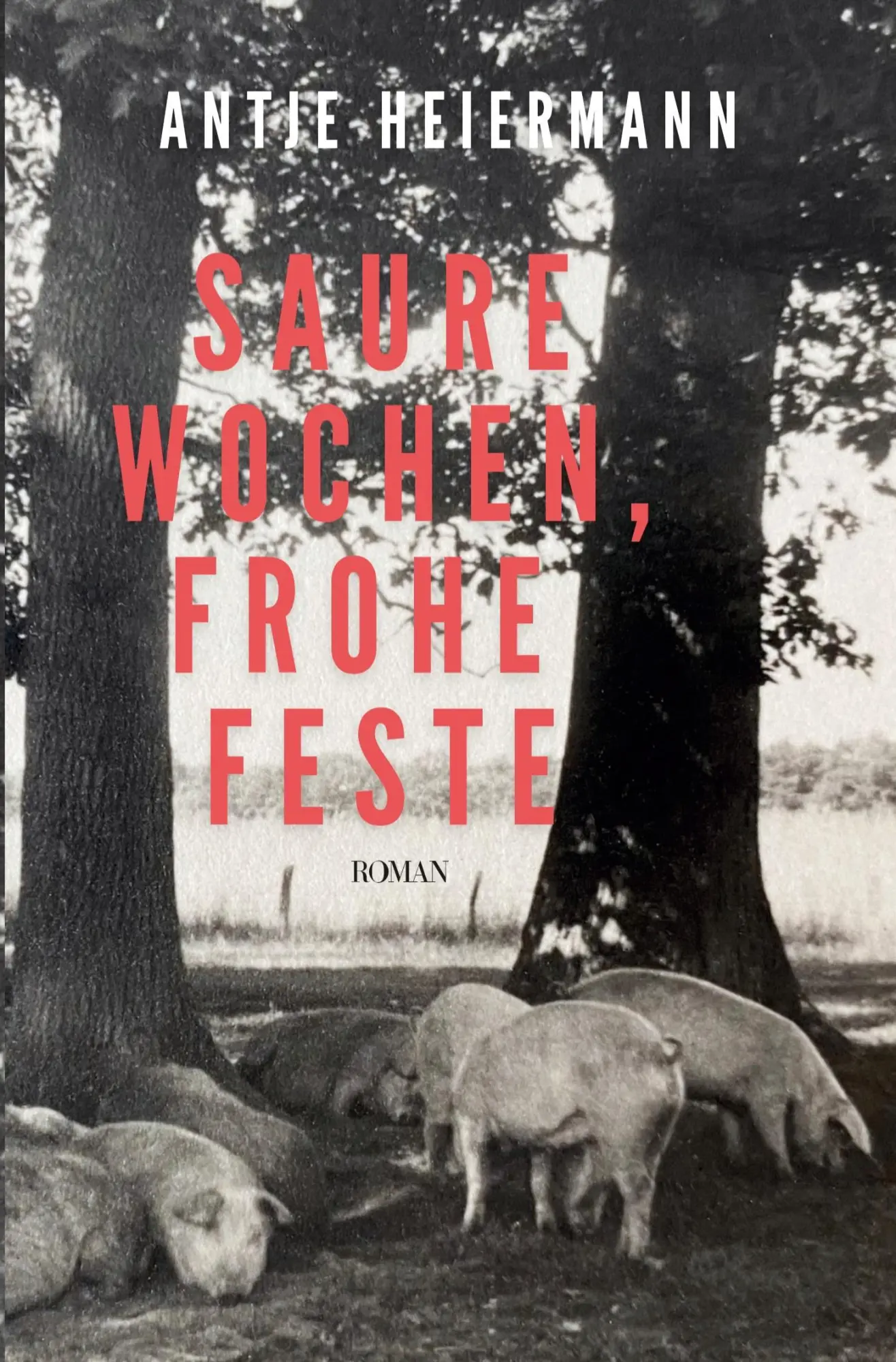 Cover: 9783819446832 | Saure Wochen, frohe Feste | Antje Heiermann | Taschenbuch | 436 S.