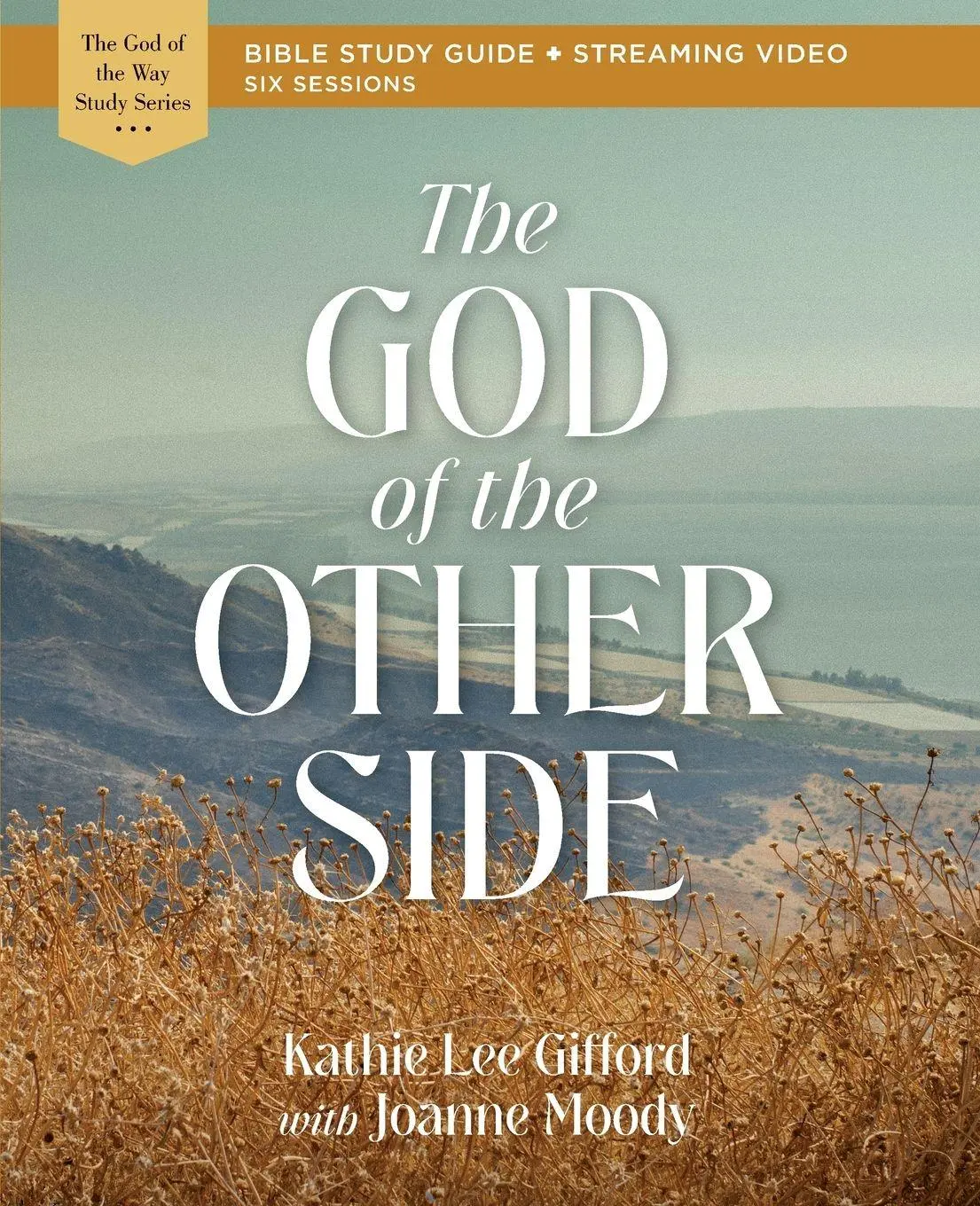 Cover: 9780310156932 | The God of the Other Side Bible Study Guide Plus Streaming Video