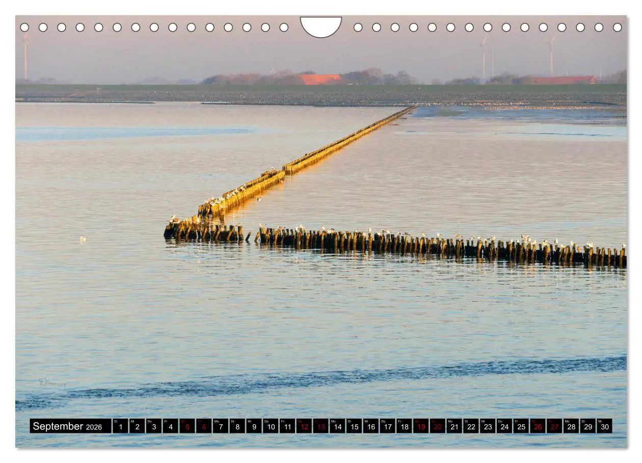Bild: 9783457786932 | Bensersiel Küste und mehr (Wandkalender 2026 DIN A4 quer), CALVENDO...