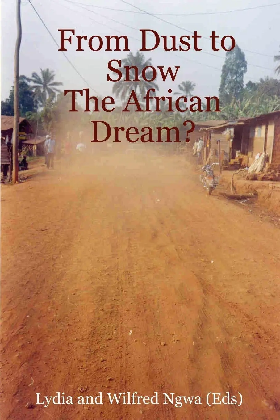 Cover: 9780615137032 | From Dust to Snow | The African Dream? | Lydia Ngwa (u. a.) | Buch